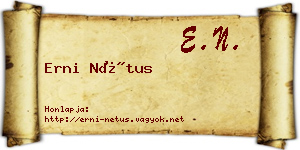 Erni Nétus névjegykártya